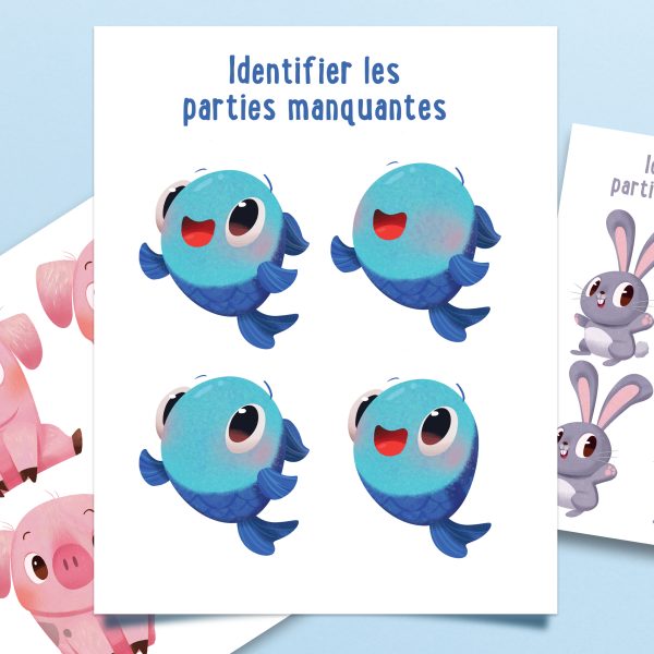 IDENTIFIER LA PARTIE MANQUANTE