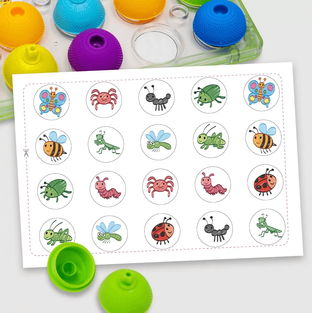 Juego de memoria - Insectos